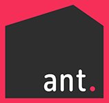 Ant In The Room
